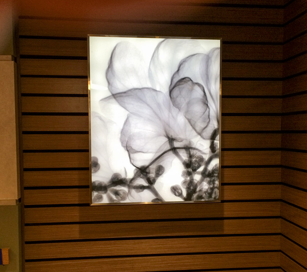 Internally Illuminated Digitally Printed Panel