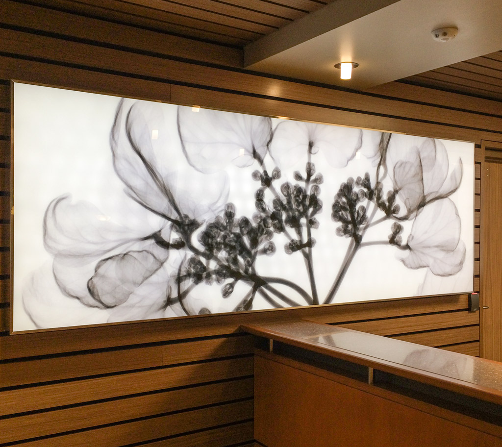 Internally Illuminated Digitally Printed Panel